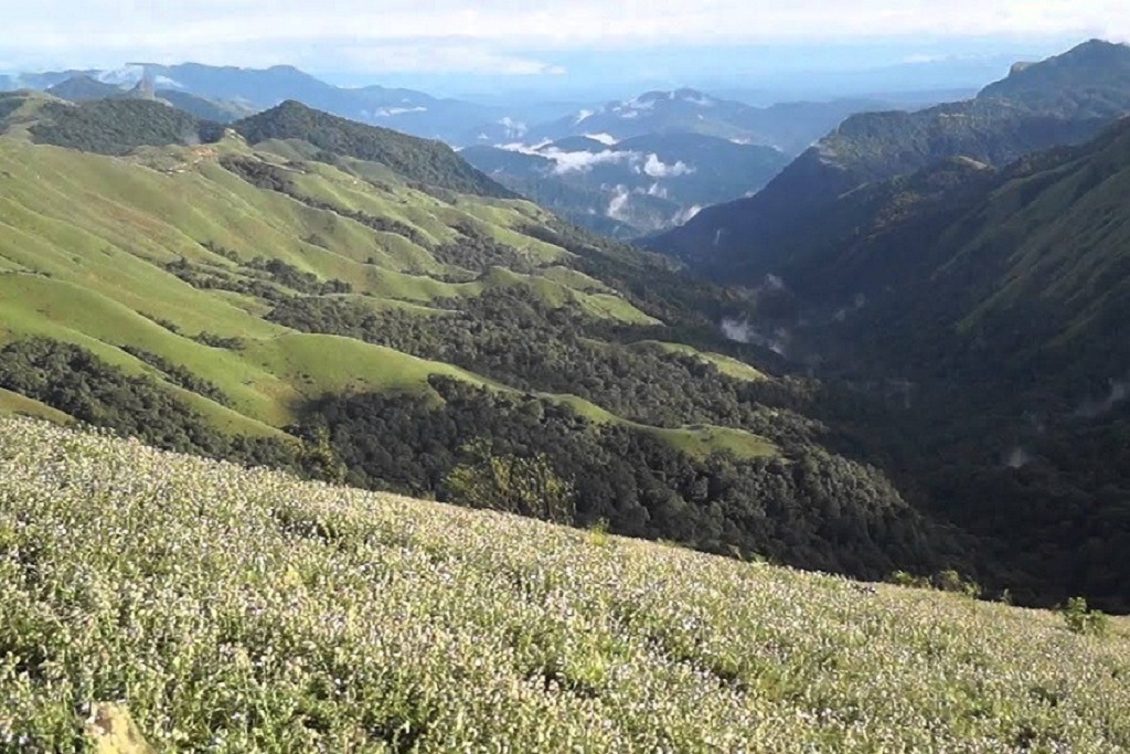 Devaramane- a memorable place to visit and is unique traveling spot in Karnataka Devaramane- a memorable place to visit and is unique traveling spot in Karnataka